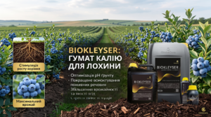 Гумат калію для лохини: секрети багатого врожаю та здорових кущів в Україні 2 Гумат калію підвищує врожайність лохини